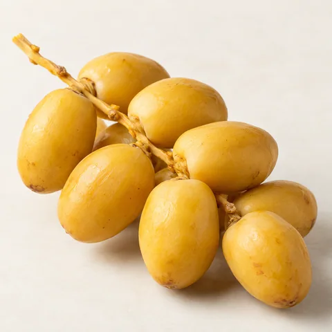 بلح برحي