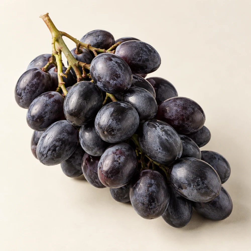 Illustrative studio composition of black table grapes