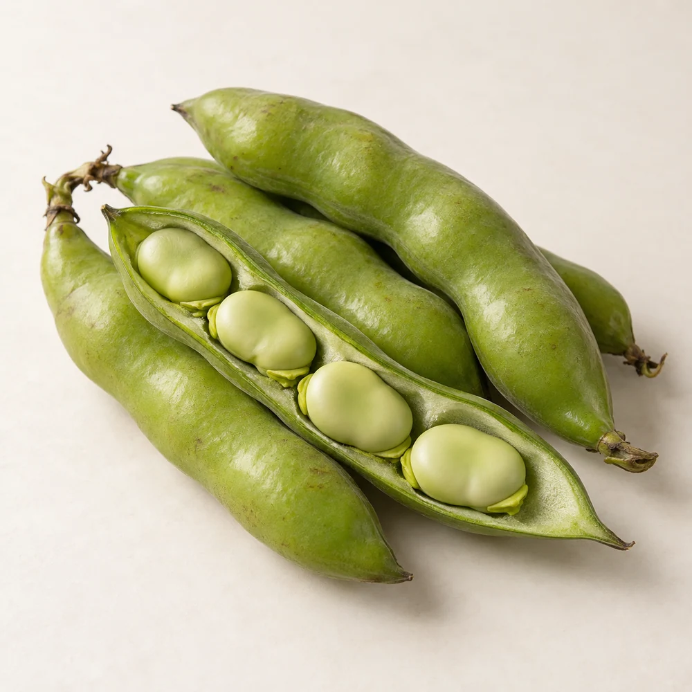 تكوين توضيحي للمنتج: فول أخضر
