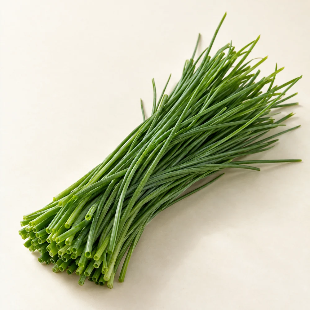 Illustrative studio composition of chives