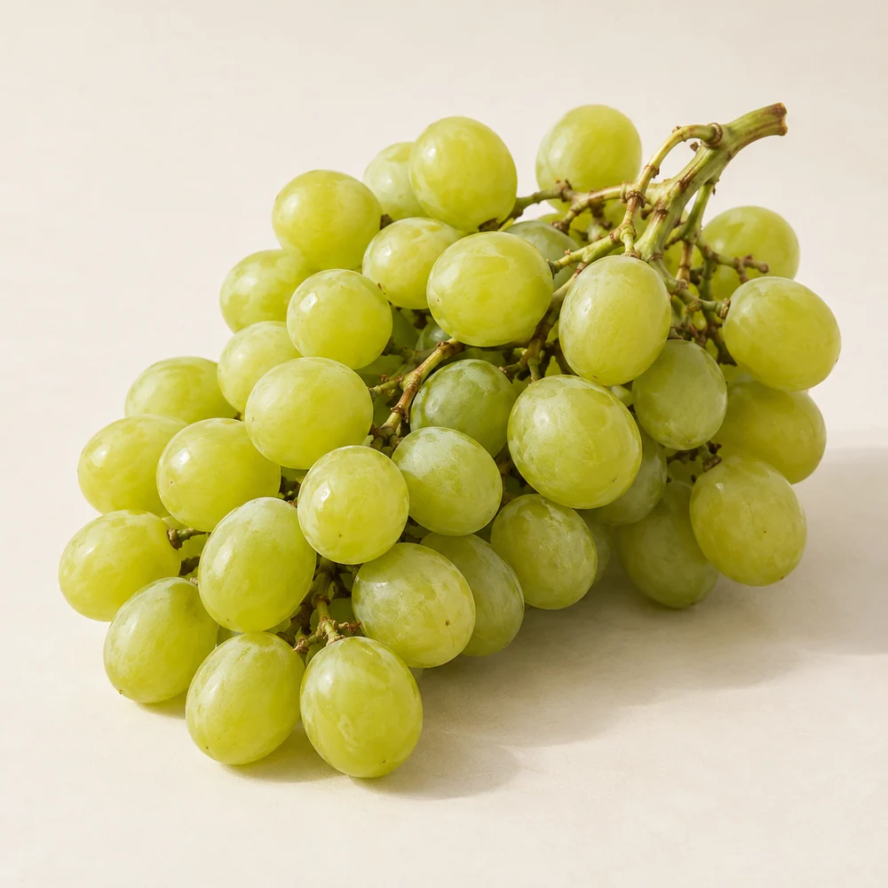 Illustrative studio composition of green table grapes