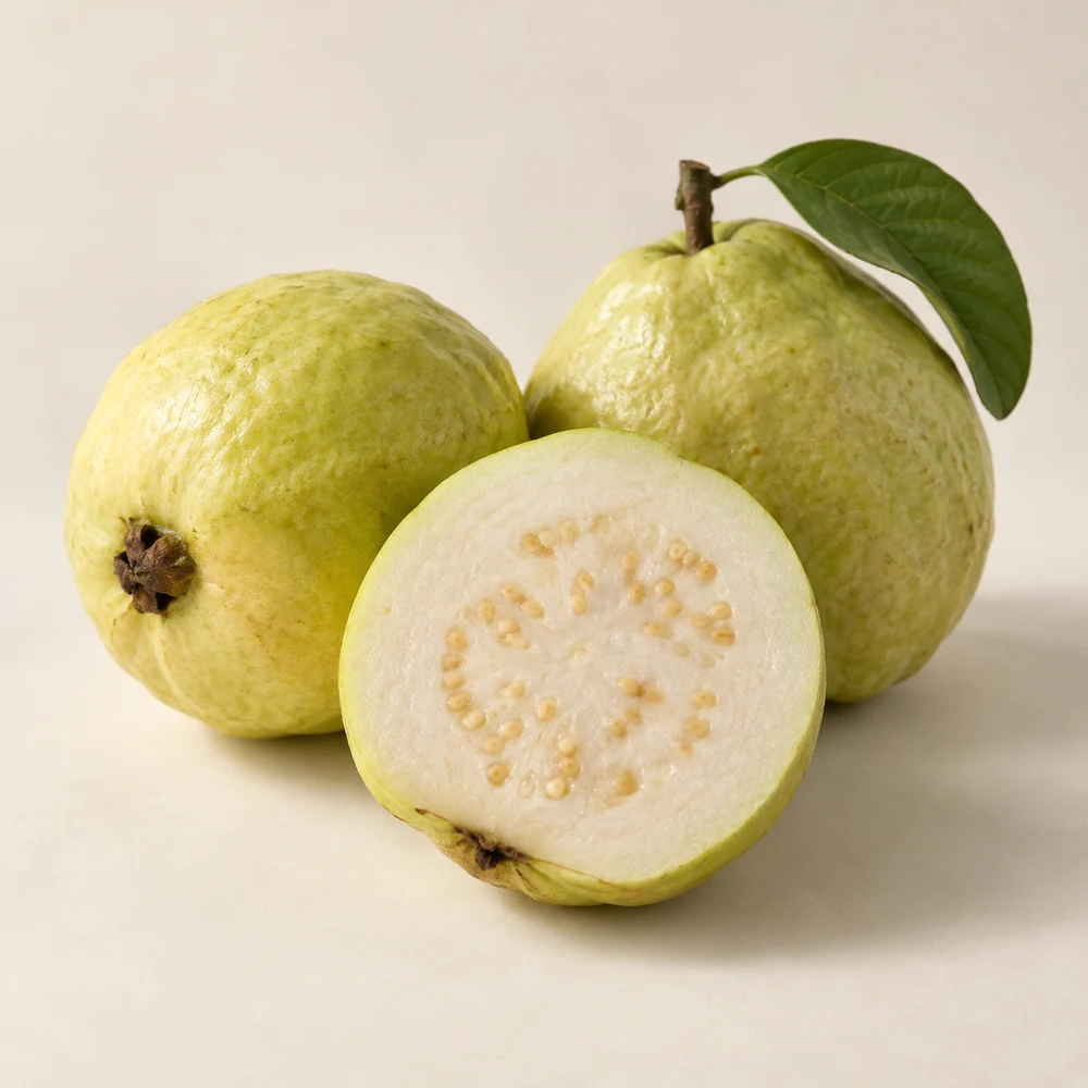 Illustrative studio composition of guava