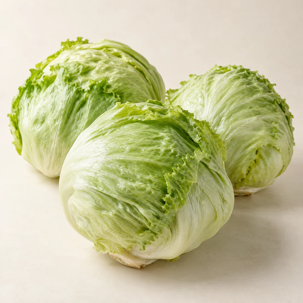 Illustrative studio composition of iceberg lettuce