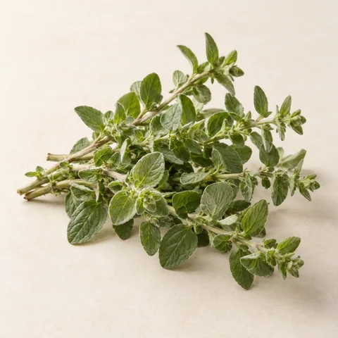 Marjoram