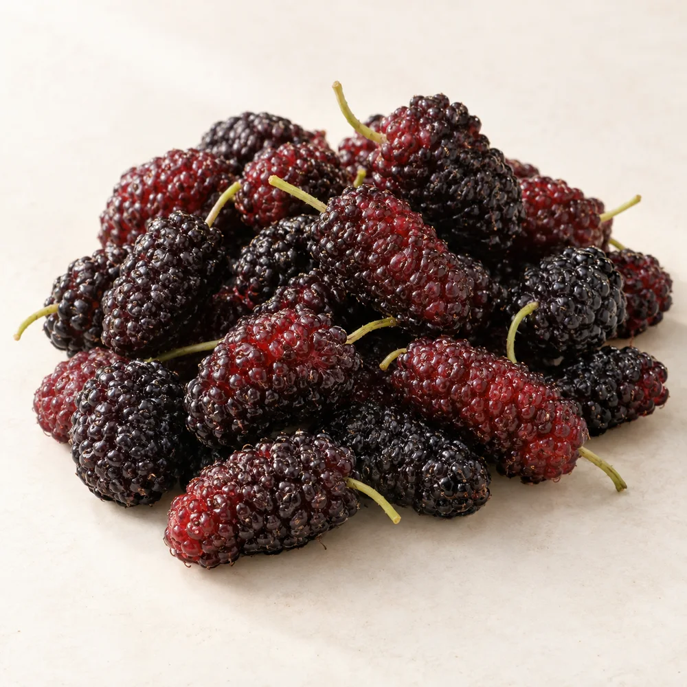 Illustrative studio composition of mulberry