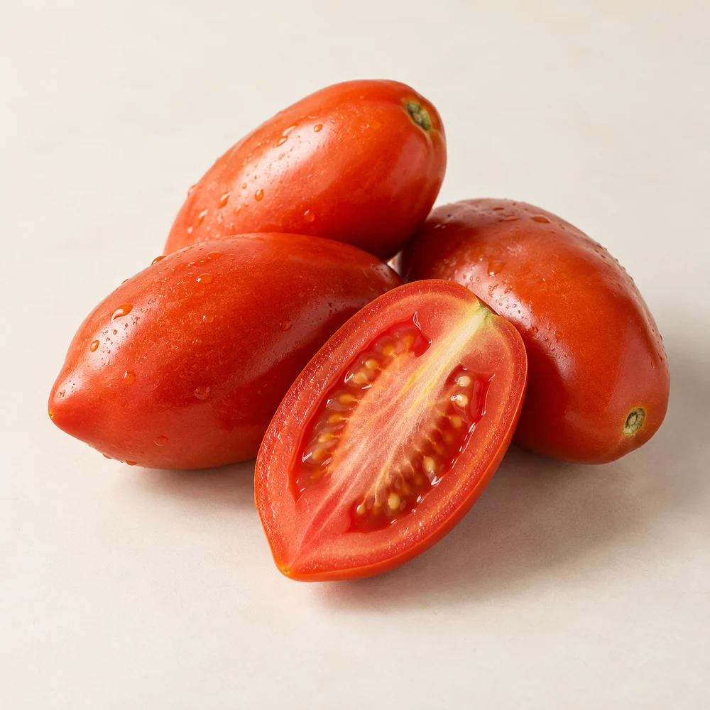 Illustrative studio composition of plum tomato