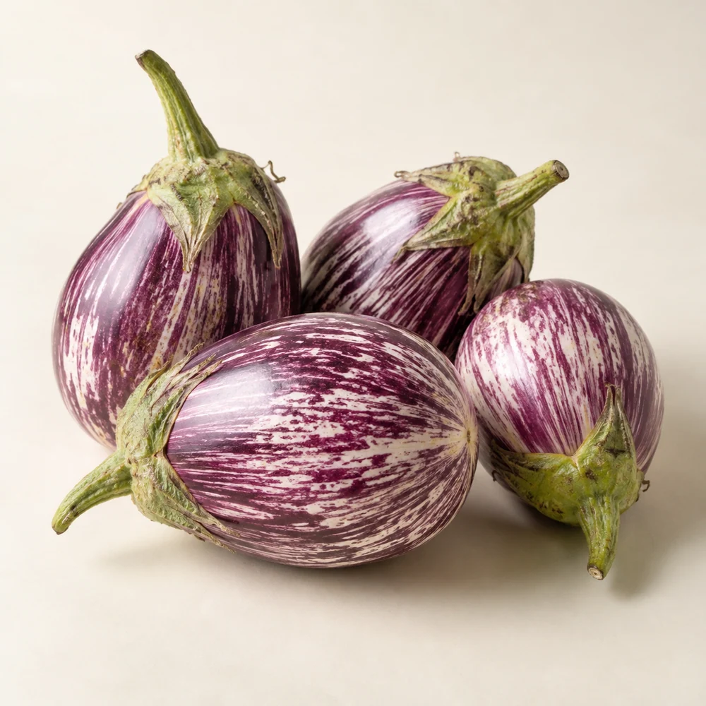 Illustrative studio composition of striped eggplant