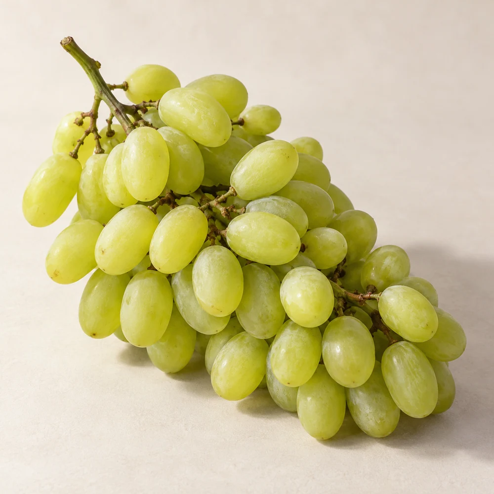Illustrative studio composition of thompson seedless grapes